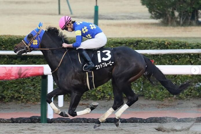 角田大河の家族構成｜父親はダービージョッキーで兄も騎手！母親や兄弟についても調査！