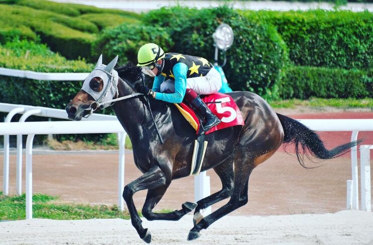 角田大河の学歴と経歴を総まとめ！競馬学校卒業でジョッキー一筋だった！